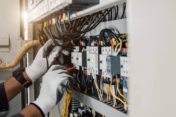 Best Electric Panel Repair  in Shelbyville, TN